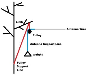 Pulley-Counterweight-Tree-Antenna-Deployment