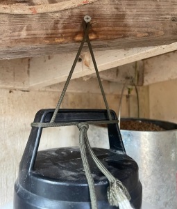 HangingWaterFeeder